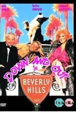 Watch Down and Out in Beverly Hills 123movies
