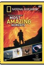 Watch National Geographic's Most Amazing Moments 123movies