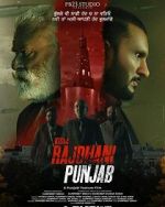 Watch Rajdhani Punjab 123movies