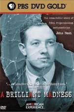 Watch A Brilliant Madness 123movies