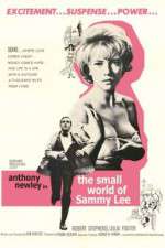 Watch The Small World of Sammy Lee 123movies