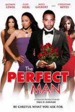 Watch The Perfect Man 123movies