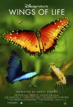 Watch Disneynature: Wings of Life 123movies