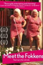 Watch Meet the Fokkens 123movies
