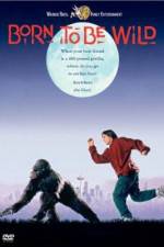 Watch Born to Be Wild 123movies