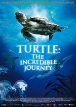 Watch Turtle: The Incredible Journey 123movies