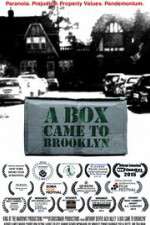 Watch A Box Came to Brooklyn 123movies