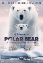 Watch Polar Bear 123movies