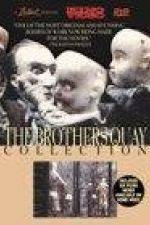 Watch The Comb 123movies