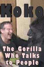 Watch Koko: The Gorilla Who Talks to People 123movies
