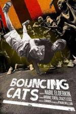 Watch Bouncing Cats 123movies