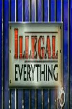 Watch Illegal Everything 2012 123movies