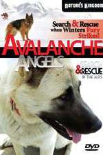 Watch Avalanche Angels 123movies