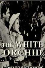 Watch The White Orchid 123movies