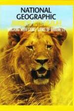 Watch National Geographic:  Walking with Lions 123movies