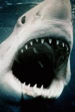 Watch Sharkmania: The Top 15 Biggest Baddest Bloodiest Bites 123movies