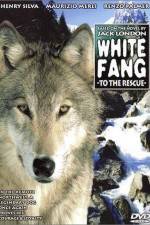 Watch Zanna bianca alla riscossa 123movies