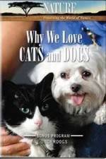 Watch Why We Love Cats And Dogs 123movies