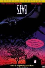 Watch Bats 123movies