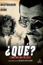 Watch Che 123movies