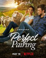 Watch A Perfect Pairing 123movies