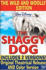 Watch The Shaggy Dog 123movies