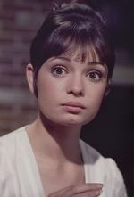 Watch Gidget Grows Up 123movies