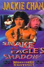 Watch Bruce Vs. Snake In Eagle's Shadow 123movies