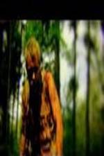 Watch The Legend of David 123movies