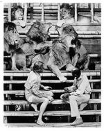 Watch Roar: The Most Dangerous Movie Ever Made 123movies