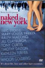 Watch Naked in New York 123movies