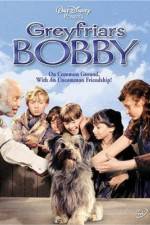 Watch Greyfriars Bobby The True Story of a Dog 123movies