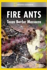 Watch National Geographic Fire Ants: Texas Border Massacre 123movies