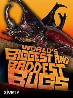 Watch World\'s Biggest and Baddest Bugs 123movies