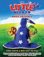 Watch The Little Wizard: Guardian of the Magic Crystals 123movies