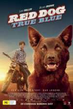 Watch Red Dog True Blue 123movies