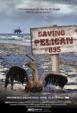 Watch Saving Pelican 895 (Short 2011) 123movies