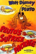Watch Pluto\'s Surprise Package 123movies