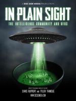 Watch In Plain Sight: The Intelligence Community and UFOs 123movies