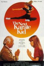 Watch The Next Karate Kid 123movies