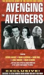 Watch Avenging the Avengers 123movies