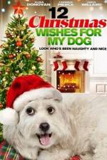Watch 12 Christmas Wishes For My Dog 123movies