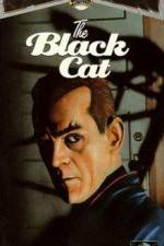 Watch The Black Cat 123movies