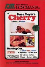 Watch Cherry Harry & Raquel 123movies