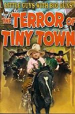 Watch The Terror of Tiny Town 123movies
