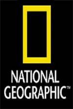 Watch National Geographic: Wild Nights - Miami 123movies