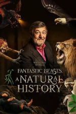 Watch Fantastic Beasts: A Natural History 123movies