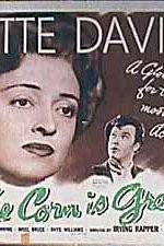 Watch The Corn Is Green 123movies