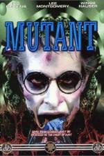 Watch Night Shadows 123movies