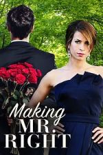 Watch Making Mr. Right 123movies